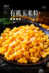 有机玉米粒海报