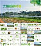 大棚蔬菜种植基地有机蔬菜ppt