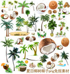 椰树椰子
