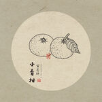 小青柑