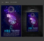 12星座海报