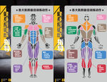 健身房展板肌肉图解