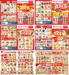 虎年春节邮报DM单
