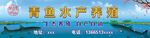 青鱼水产养殖图片