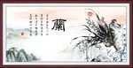 国画兰花