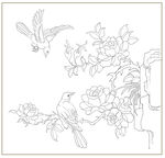 玫瑰花鸟