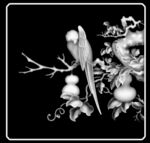 葫芦花鸟