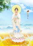 观音菩萨