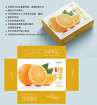 橙子包装 水果盒子