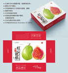 芭乐包装 番石榴盒子