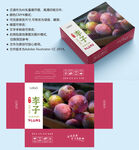 李子包装 水果盒子
