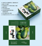 牛油果包装 水果盒子