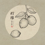 手绘柠檬