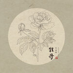 手绘牡丹