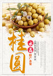 桂圆