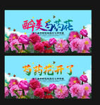 芍药节