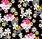 玫瑰花花朵