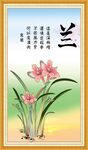 国画兰花
