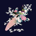 凤凰鸟 