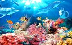 3D唯美海底世界电视背景墙