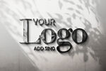 logo样机效果图