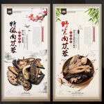 肉苁蓉