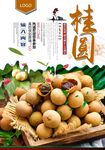 桂圆
