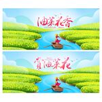 油菜花