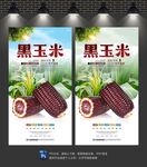 黑玉米