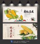 玉米