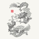 龙
