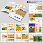 农业画册设计
