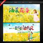 油菜花