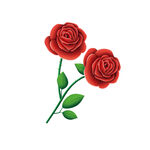 玫瑰花