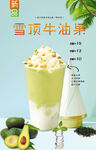 雪顶牛油果  