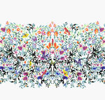 大牌 小鸟 蝴蝶 