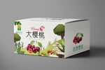 樱桃礼盒设计平面图