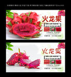火龙果  