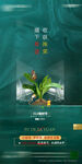 地产植树节单图