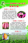 甘薯种植合作社品种介绍