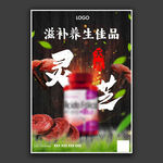 灵芝保健品海报