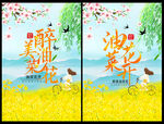 醉美油菜花