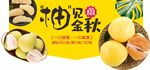 柚子吊牌