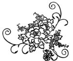 线描勾花图片