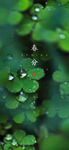 春分节气海报