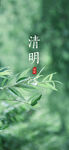 清明节海报