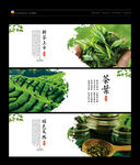 茶叶