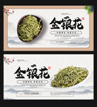 金银花海报
