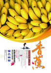 香蕉