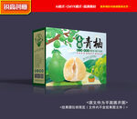 柚子包装 青柚礼盒